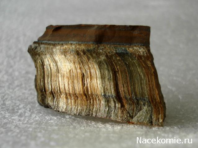 Компания кладоискателей. Болталка форума Минералов