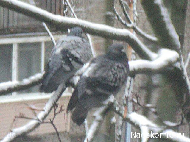 "Живой уголок"