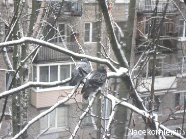 "Живой уголок"