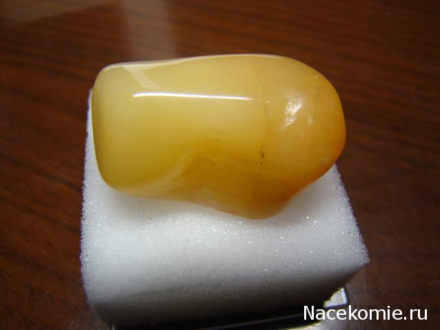 Компания кладоискателей. Болталка форума Минералов