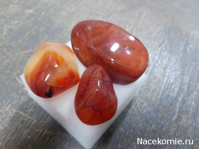 Минералы Подземные Богатства №18 - Сердолик