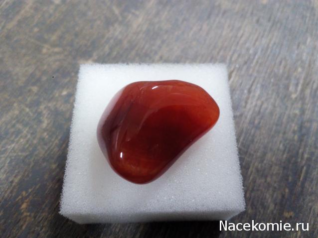 Минералы Подземные Богатства №18 - Сердолик