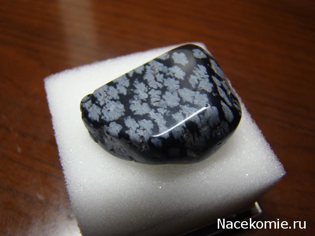 Компания кладоискателей. Болталка форума Минералов