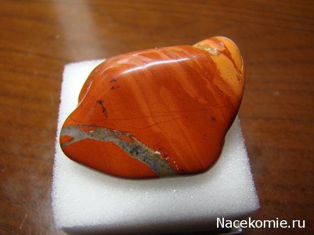 Компания кладоискателей. Болталка форума Минералов