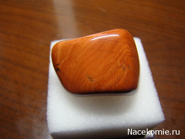 Компания кладоискателей. Болталка форума Минералов