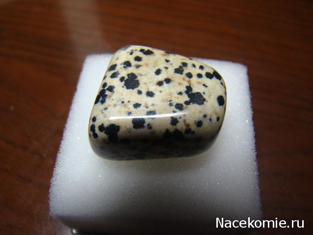 Компания кладоискателей. Болталка форума Минералов