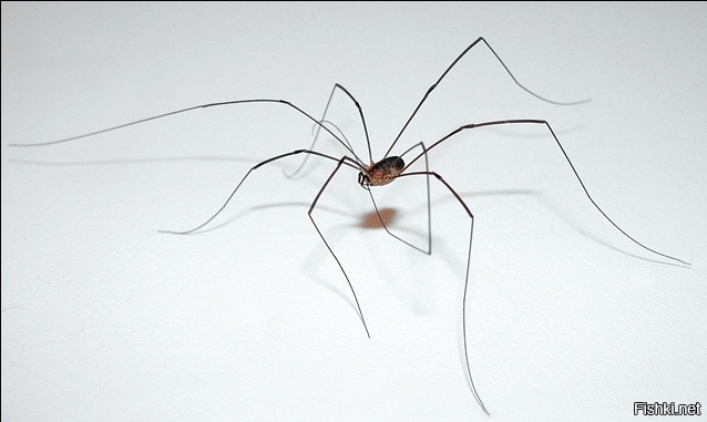 "Живой уголок"