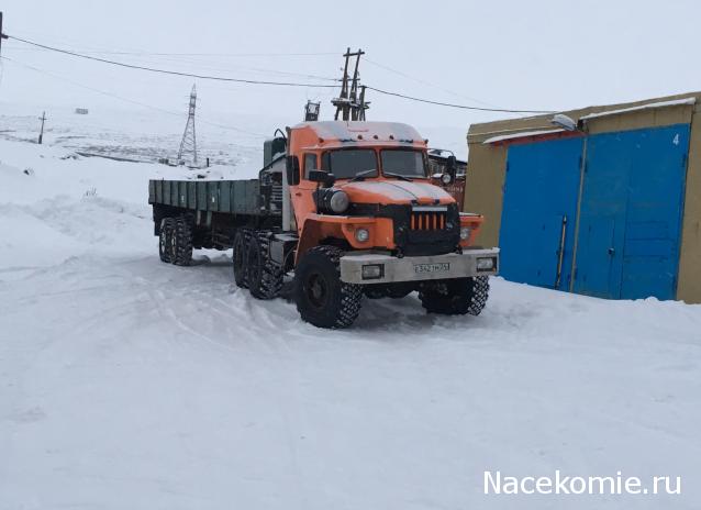 Автолегенды вживую