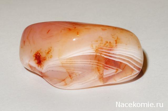 Минералы Подземные Богатства №18 - Сердолик