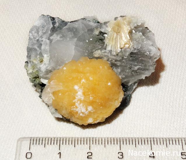 Компания кладоискателей. Болталка форума Минералов