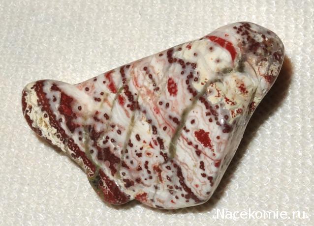 Компания кладоискателей. Болталка форума Минералов