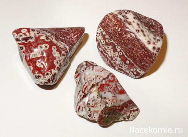 Компания кладоискателей. Болталка форума Минералов