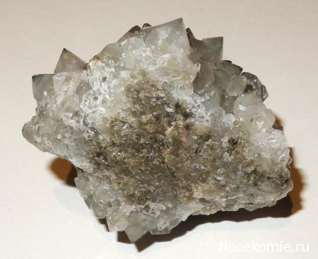 Компания кладоискателей. Болталка форума Минералов