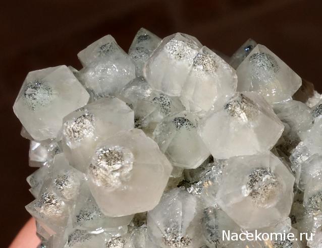 Компания кладоискателей. Болталка форума Минералов