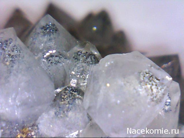 Компания кладоискателей. Болталка форума Минералов