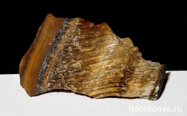 Компания кладоискателей. Болталка форума Минералов