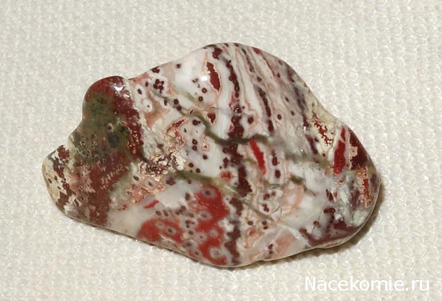 Компания кладоискателей. Болталка форума Минералов