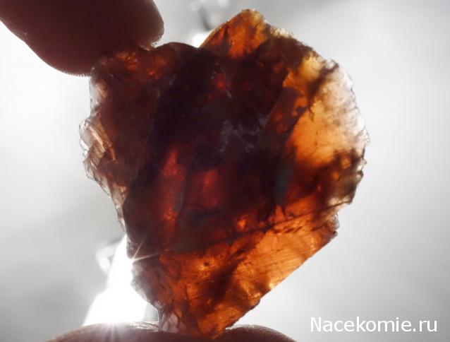 Компания кладоискателей. Болталка форума Минералов