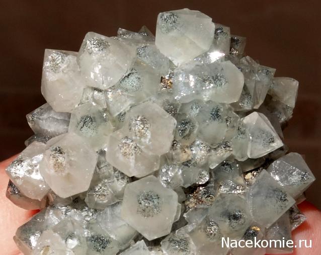 Компания кладоискателей. Болталка форума Минералов