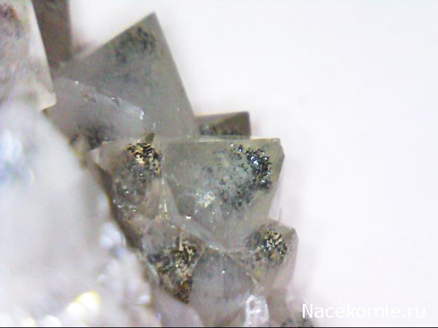 Компания кладоискателей. Болталка форума Минералов