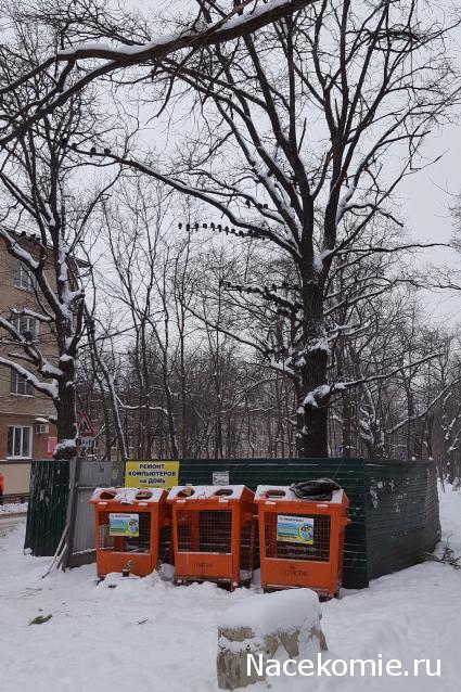 "Живой уголок"