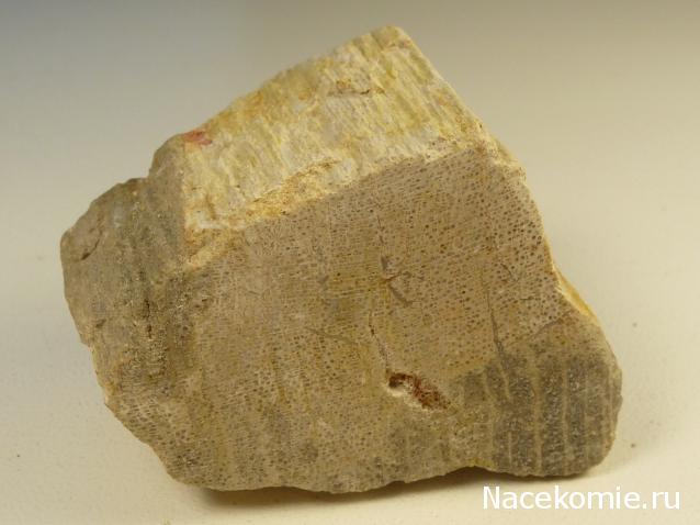 Коллекция минералов Titania