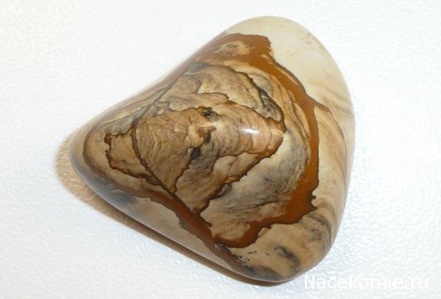 Коллекция минералов Titania