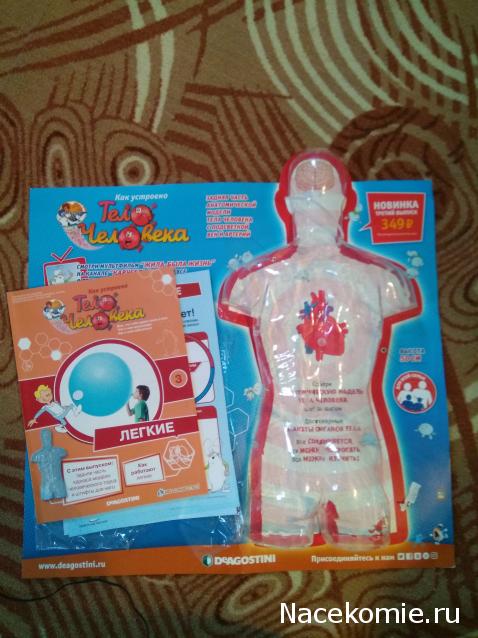 Тело Человека (DeAgostini) - График выхода и обсуждение