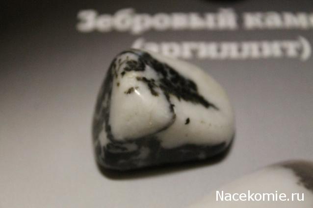 Минералы Подземные Богатства №13 - Зебровый камень (Аргиллит)