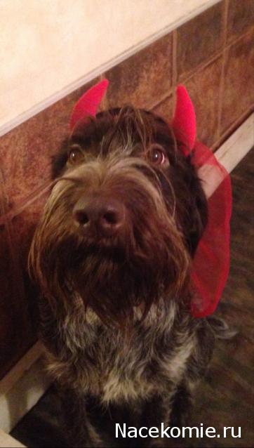 Куклы в народных костюмах – "Девчушки-болтушки"