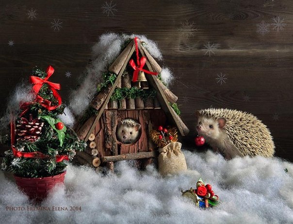 Новый год, Рождество и другие праздники в миниатюре