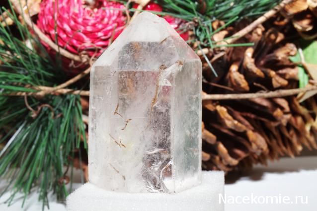 Компания кладоискателей. Болталка форума Минералов