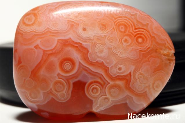 Минералы Подземные Богатства №18 - Сердолик