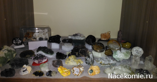 Компания кладоискателей. Болталка форума Минералов