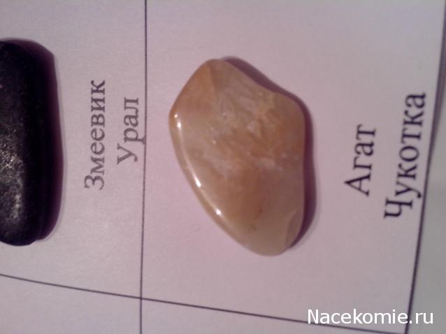 Компания кладоискателей. Болталка форума Минералов