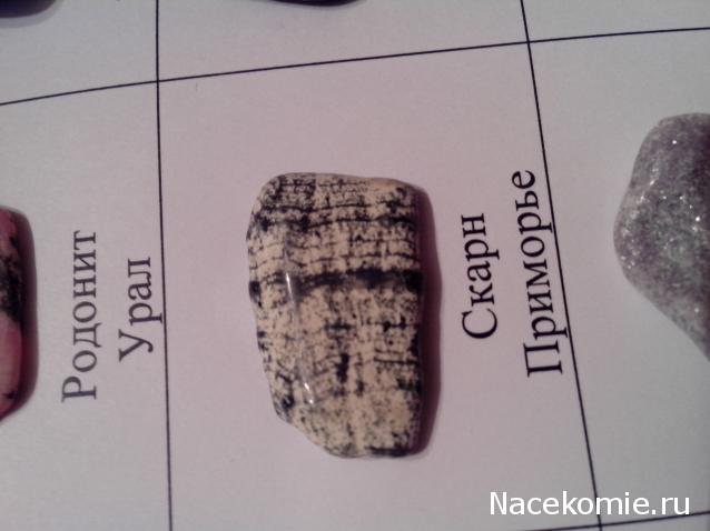 Компания кладоискателей. Болталка форума Минералов