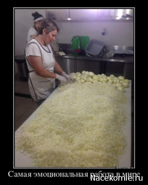 Кулинарный отдел