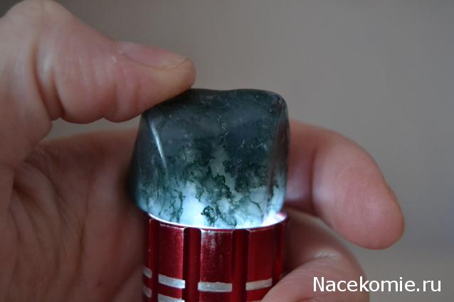 Компания кладоискателей. Болталка форума Минералов