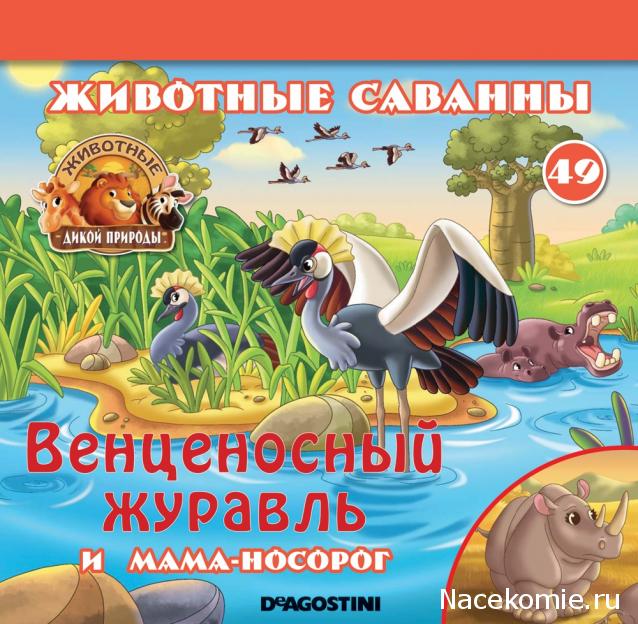 Животные Дикой Природы №49 - Самка Носорога