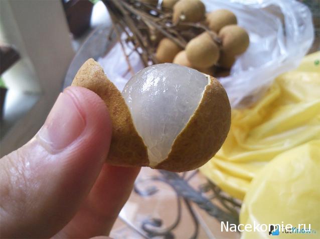 Кулинарный отдел