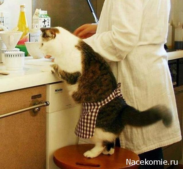 Кулинарный отдел