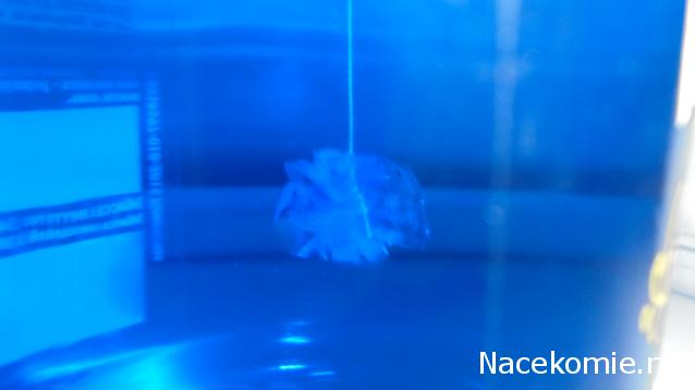 Компания кладоискателей. Болталка форума Минералов