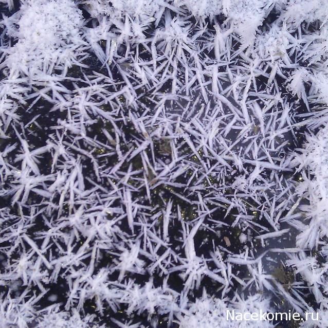 Компания кладоискателей. Болталка форума Минералов