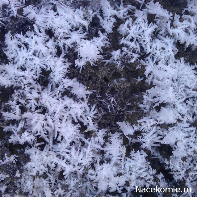 Компания кладоискателей. Болталка форума Минералов