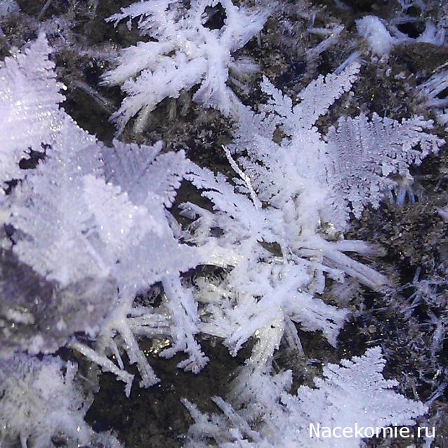 Компания кладоискателей. Болталка форума Минералов