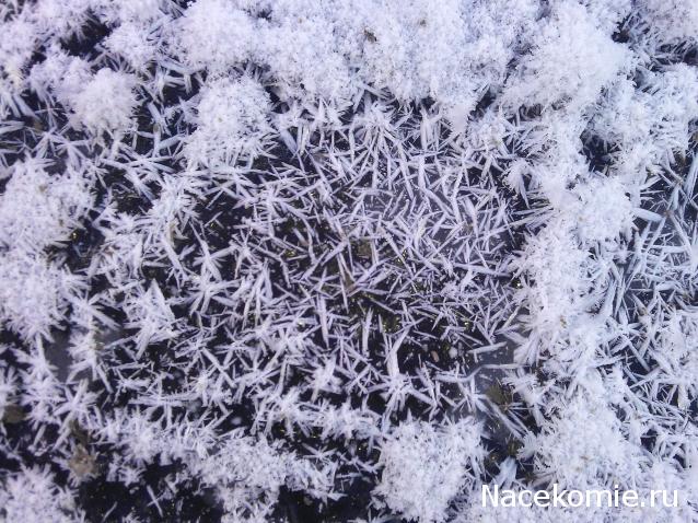 Компания кладоискателей. Болталка форума Минералов