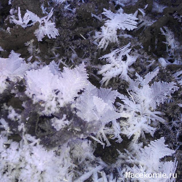 Компания кладоискателей. Болталка форума Минералов