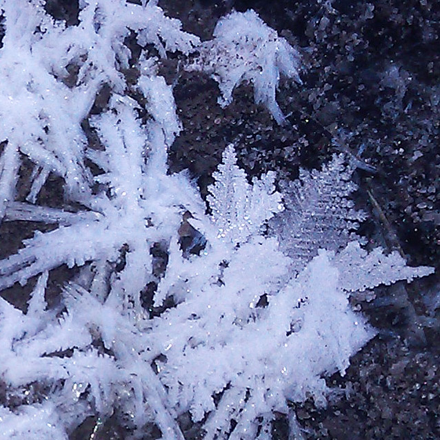 Компания кладоискателей. Болталка форума Минералов