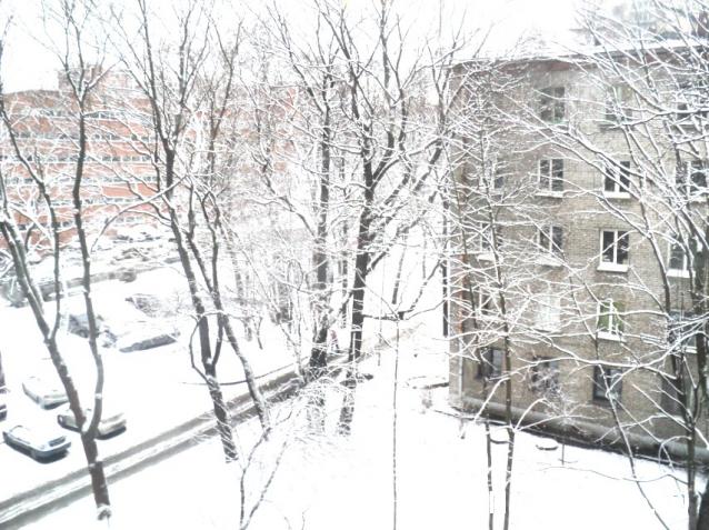 "Живой уголок"