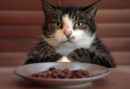 Кулинарный отдел